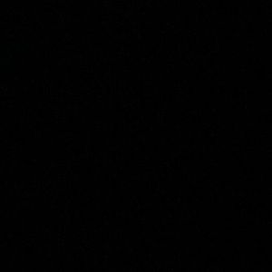 Meet your Posher, Delia